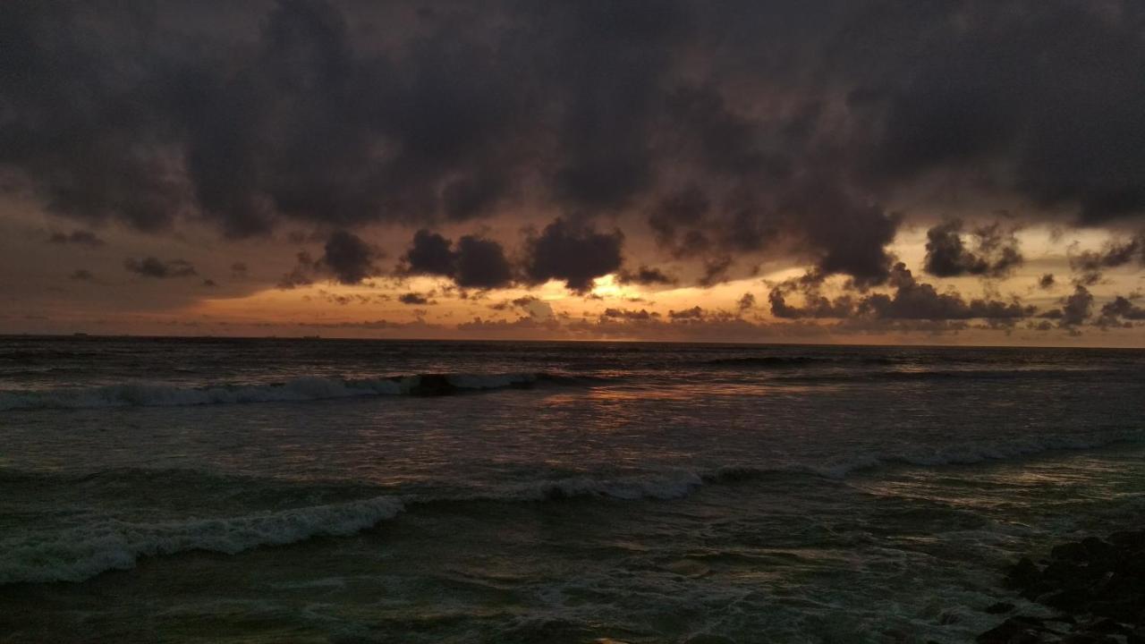 シー ハット ホームステイ Kochi エクステリア 写真